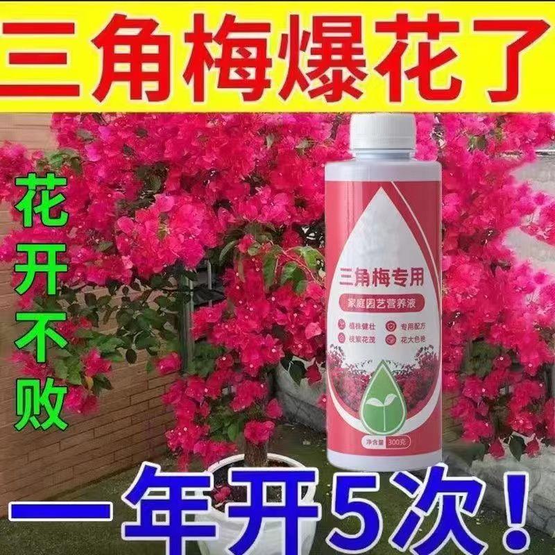 适用三角梅促花肥料专用肥植物营养液盆栽家用花卉促开花梅花通用