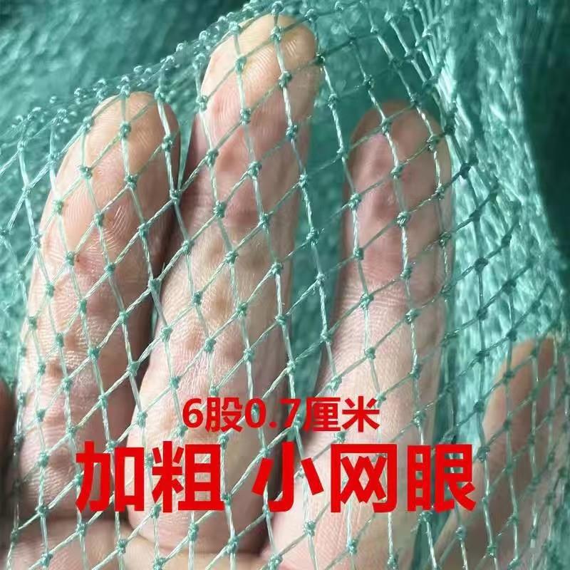 适用渔网网片聚乙烯网片隔断网有结网密网防鸟网半成品鱼网片有结