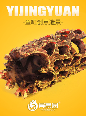 鱼缸造景躲避洞鱼躲避屋产卵洞鲷罐虾屋虾窝虾罐异型鱼树根繁殖罐