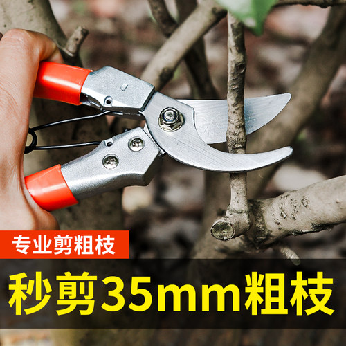 果树修枝剪树枝专用剪刀园艺修枝剪刀花艺高枝剪树木枝条剪刀出口