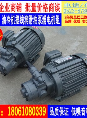 TOP-203HBMVB 204HBM  206HBM 208HBM 210HBM摆线润滑油泵HBMR-VB