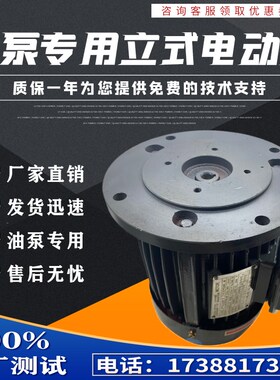 液压电机0.75KW 1.5 2.2 3 4 5.5 7.5 11 15KW立式内轴油泵电动机