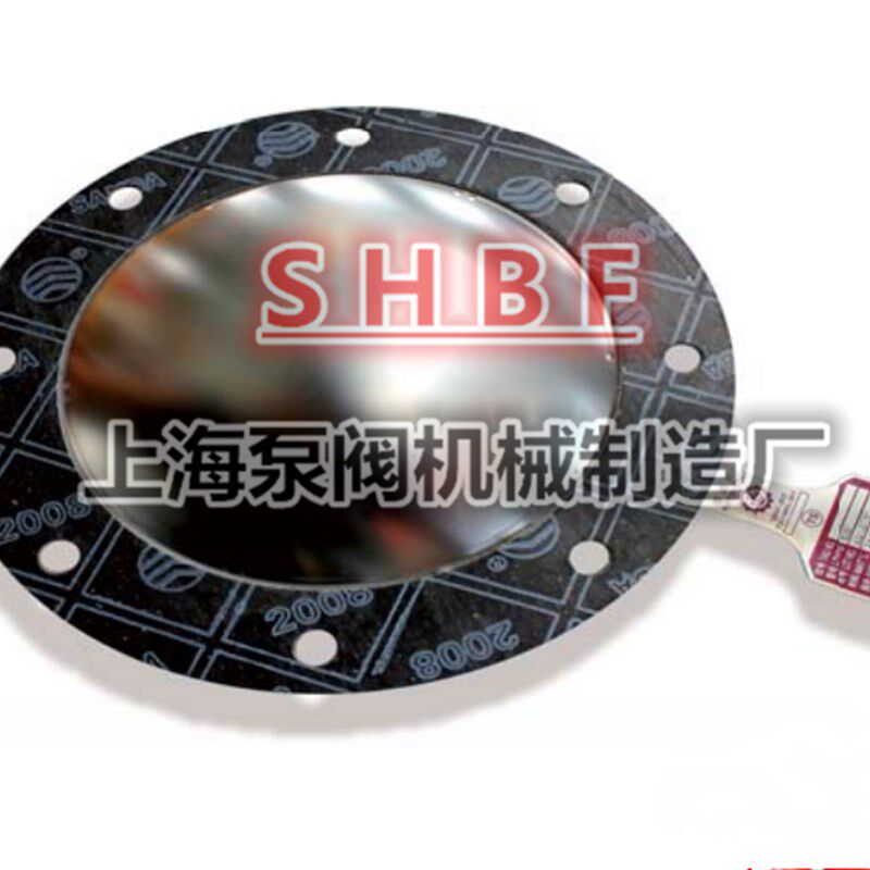 锅炉烟道专用爆破片BC/GD500-0.02-200A BC/GD200 300 350 400 - 实物图