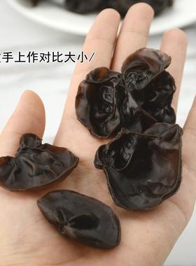 假素菜菜品装饰摆件酒店餐厅展示假菜道具仿真木耳蔬菜模型