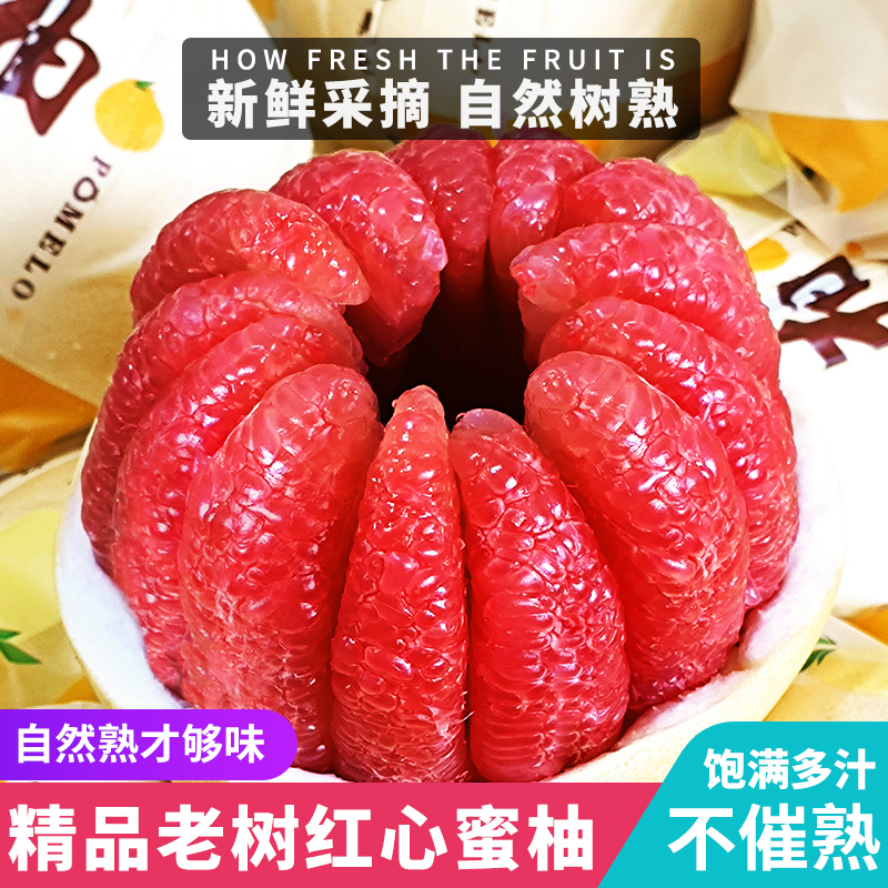 四川高山老树自然熟红心柚