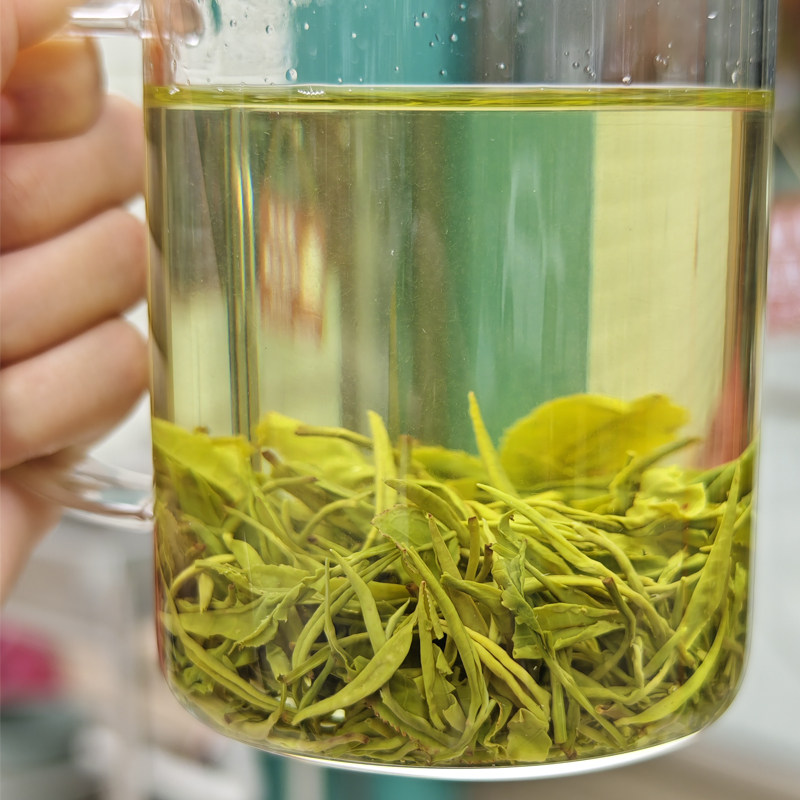 狗牯脑雨前新茶遂川高山绿茶