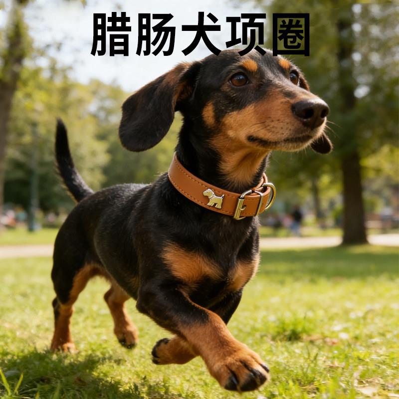 腊肠犬项圈中小型犬专用皮质牵引绳装饰小狗出门脖圈链子宠物用品