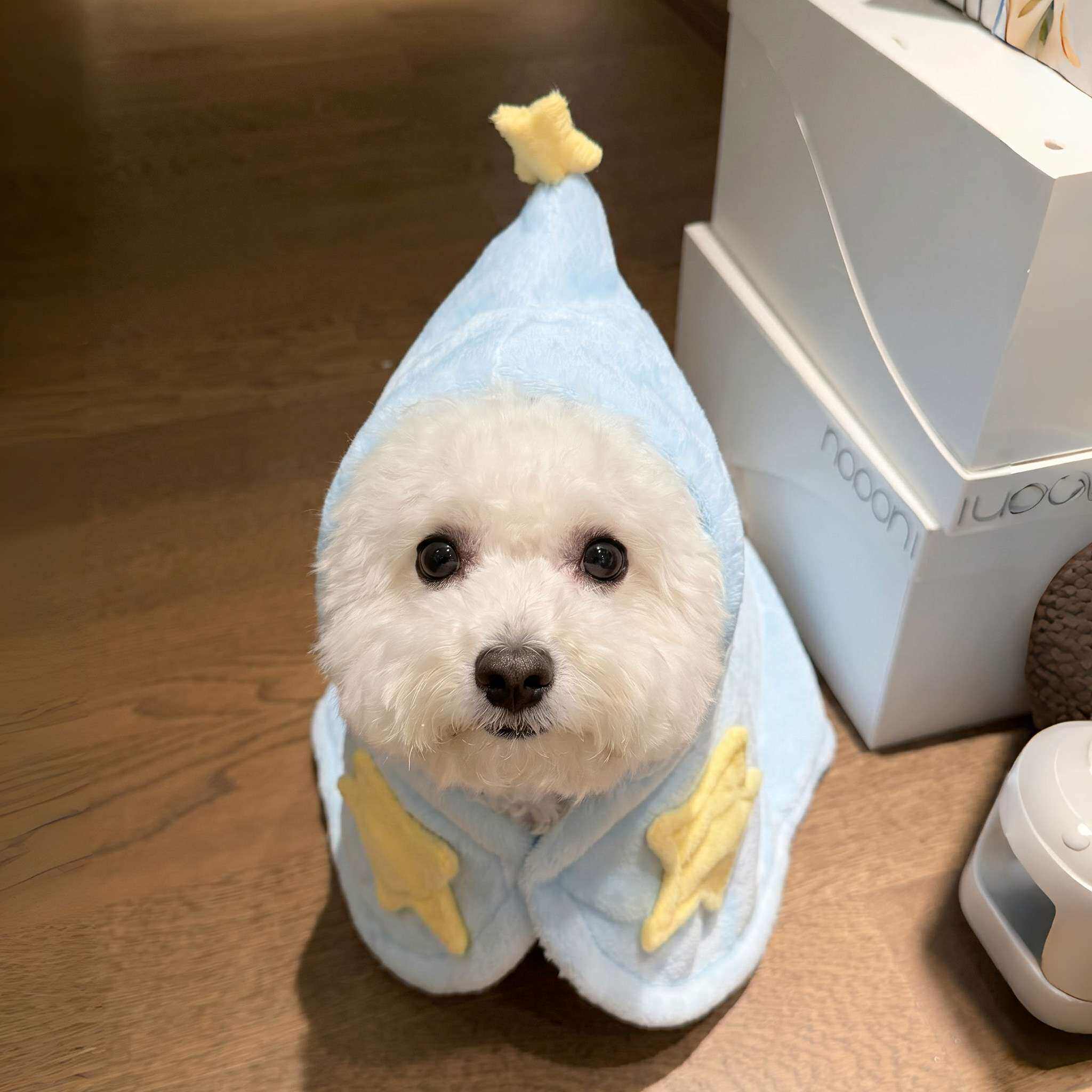 宠物狗狗衣服小型犬泰迪比熊2026新款秋冬保暖猫咪斗篷披风睡袍