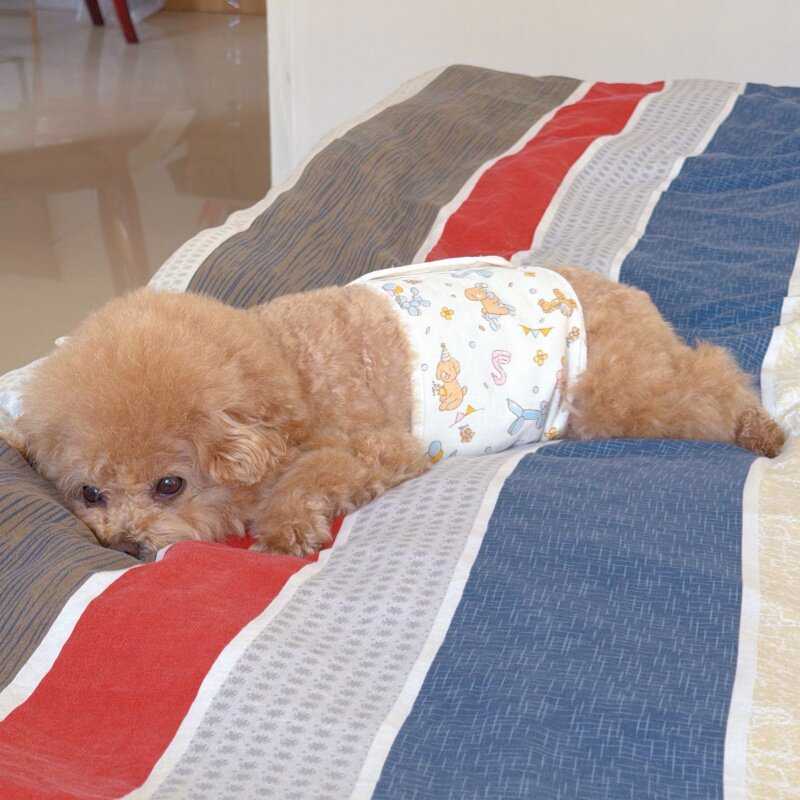 狗狗衣服秋冬纯棉护肚围换季免着凉防拉肚子中大型犬肚兜猫咪护腰