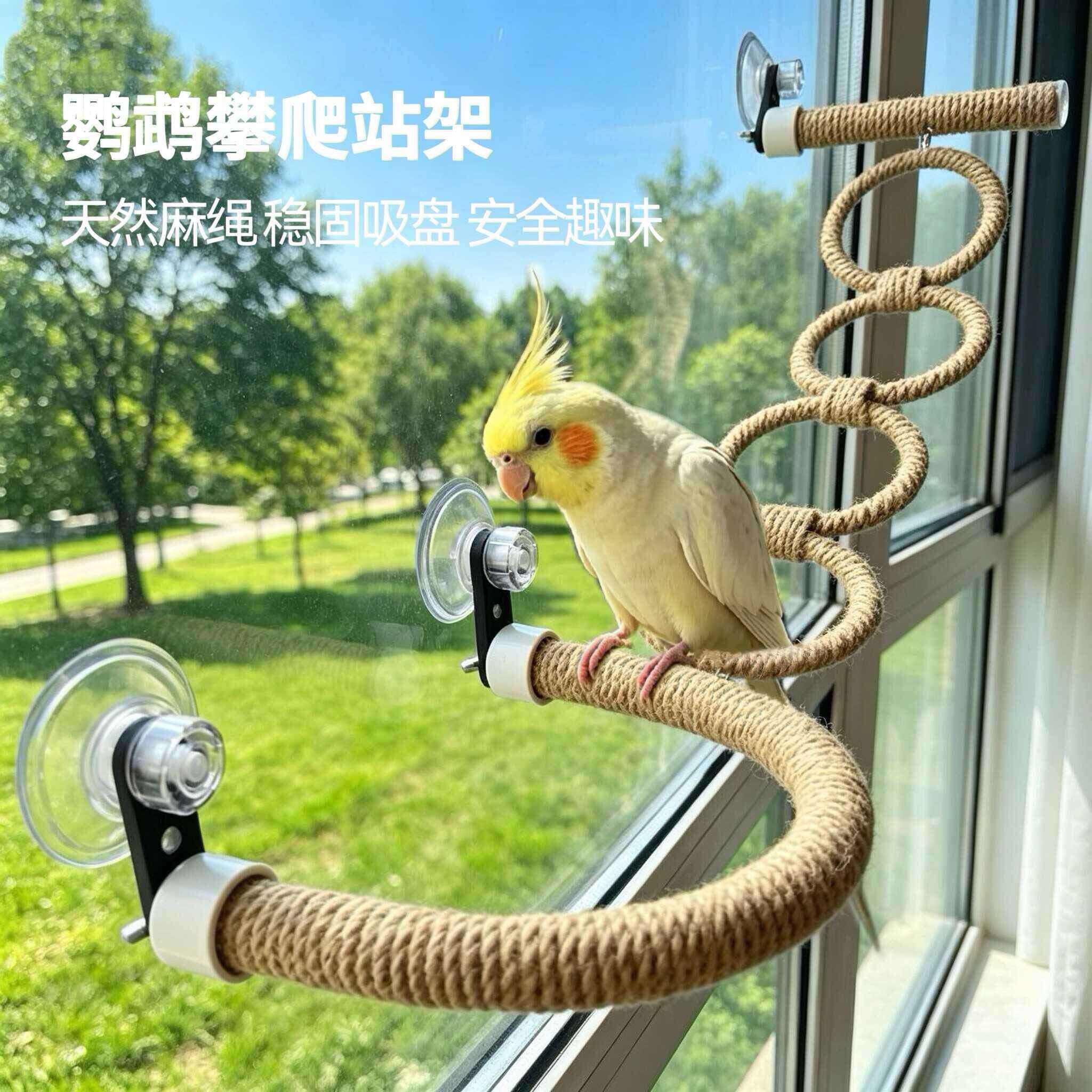 新款吸盘麻绳秋千玩具吊环攀爬吊圈虎皮玄凤牡丹鸟笼爬梯解闷窗户