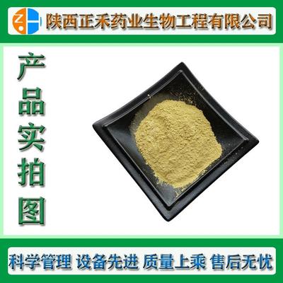 新款直销熊果酸25%-98% 枇杷叶提取物 77-52-1 迷迭香提取 乌索酸