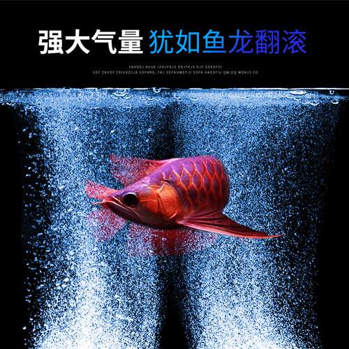 鱼缸蒸增氧泵大功率商用卖鱼静音充氧机水族箱小型氧气泵棒空气泵