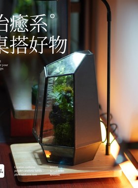 BANSHAN小森林流水桌面植物雨林缸家居网红小众定制摆件解压送礼