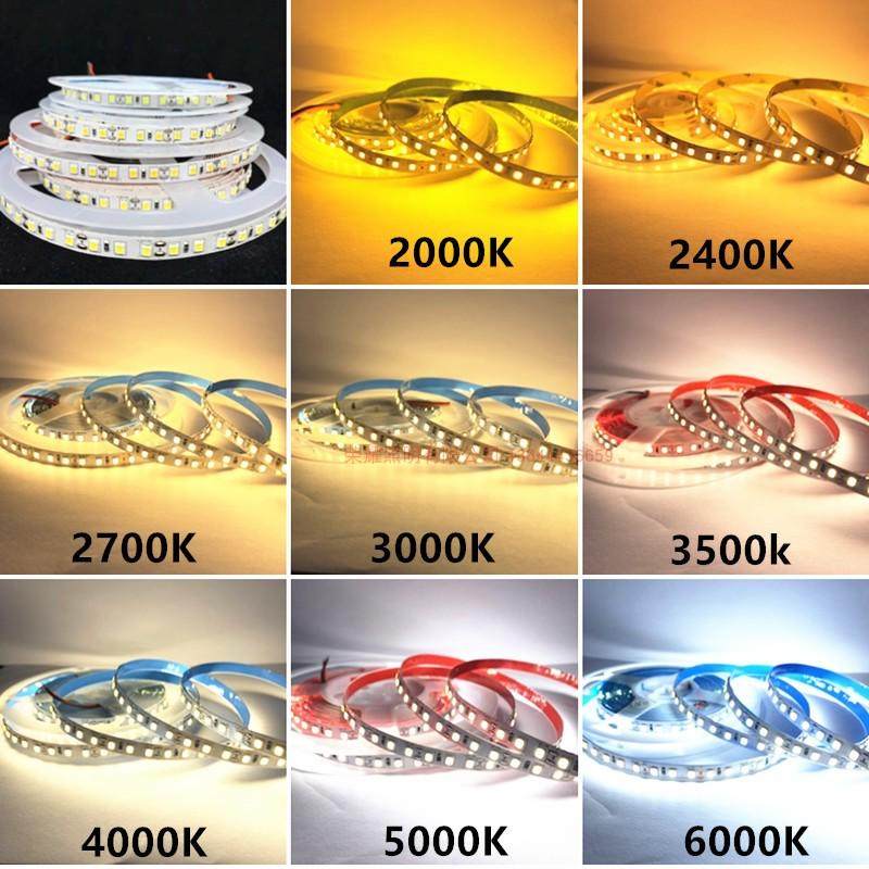 12v高亮24v8mm宽120灯色温2400K2700K3000K3500K5000K贴片灯带,家装灯饰光源,室内LED灯带,淘宝优惠券,粉丝福利购,淘宝优惠卷