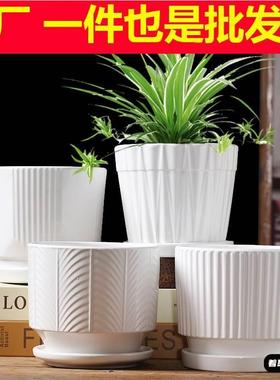花盆陶瓷创意大号带托盘家用绿萝多肉花盆白色植物小花盆