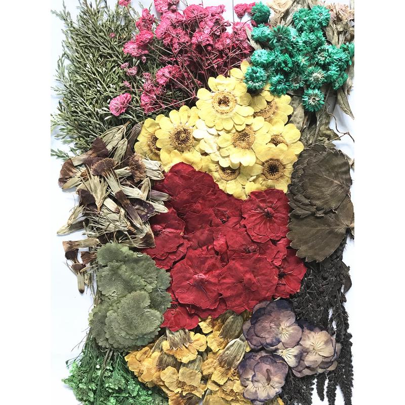 压花花材包260朵 押花花材包 押花材料 滴胶干花DIY手工一件包邮