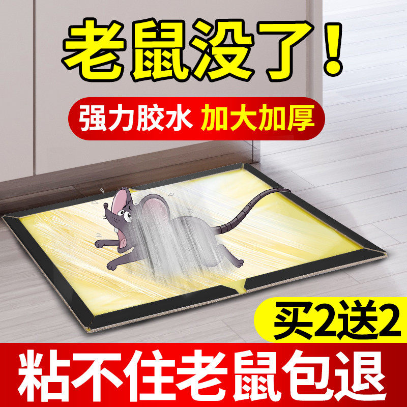 粘鼠板强力胶粘大老鼠加大加厚家用灭除老鼠贴神器厨房超强捕抓沾
