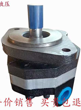 液压高压齿轮泵  油泵 CBFC10 CBFC16  CBF20  -25  CBFC32/40/50