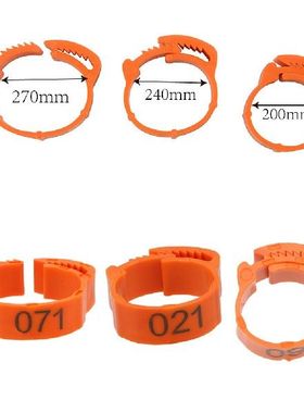 100Pcsset Color Randomly Buckle Ring Foot Ring Leg Digital