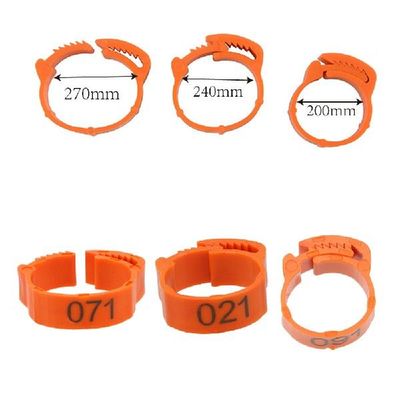 100Pcsset Color Randomly Buckle Ring Foot Ring Leg Digital