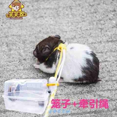 金丝熊仓鼠透明外带笼子刺猬出门便携包小型手提笼松鼠透明外出笼