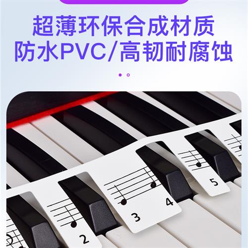 钢琴认谱神器入门初学者钢琴键盘贴纸免粘键五线谱对照表认音卡