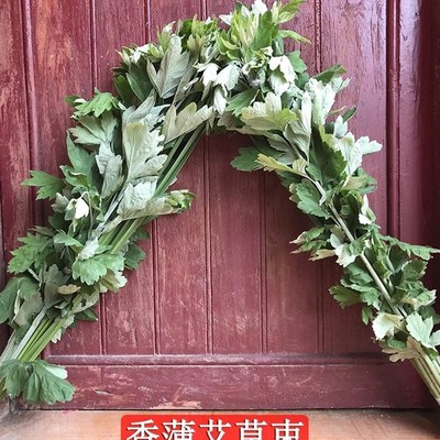 灭蚊花草蒲草艾蒿艾草艾叶挂门檐窗户驱蚊端午节农村风俗礼品艾束