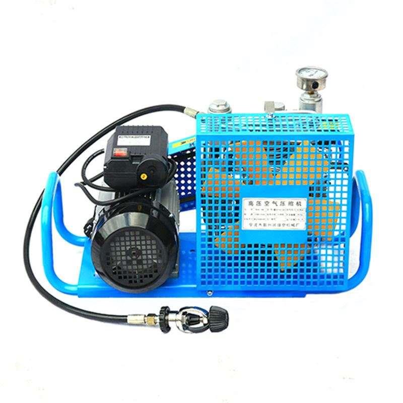 新品可携式高压潜水呼吸气瓶空压机充填气泵潜水呼吸20X-30Mpa