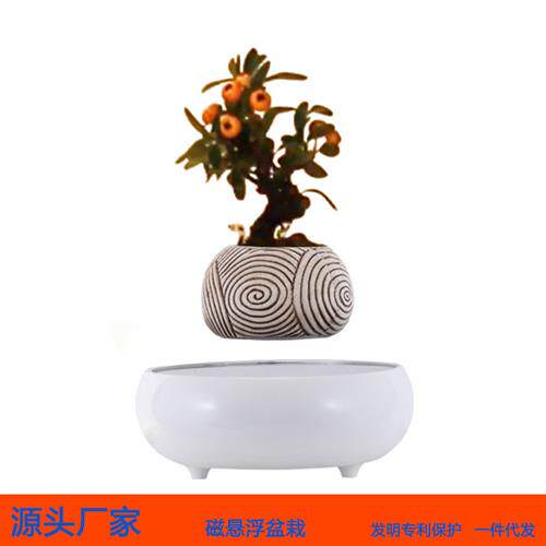 磁悬浮盆栽绿植盆景创意空中花盆摆件磁悬浮自转盆栽植物花卉摆件