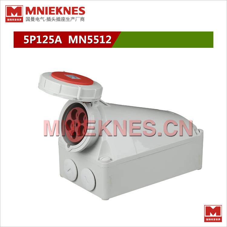 5孔125A工业插座 防水工业插头插座 IP67 5512三相四线3P+E+N