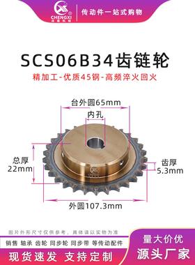 SCS高品质成型孔链轮3分34齿 06B34T外径107.3 精车内孔键槽顶丝