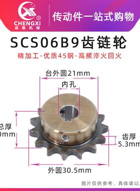 SCS高品质成型孔链轮3分9齿 06B9 T外径30.5 精车内孔键槽顶丝孔