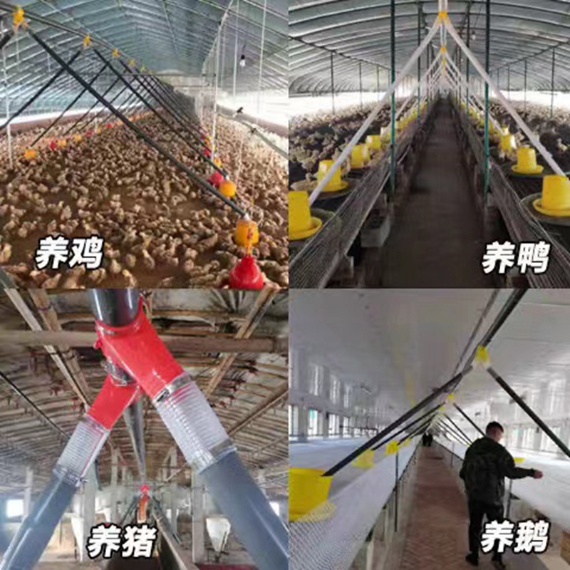 养鸡场自动喂料机鸡用养殖送料设备鸡舍全套自动上料投料简易料线