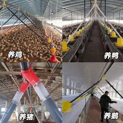 养鸡场自动喂料机鸡用养殖送料设备鸡舍全套自动上料投料简易料线