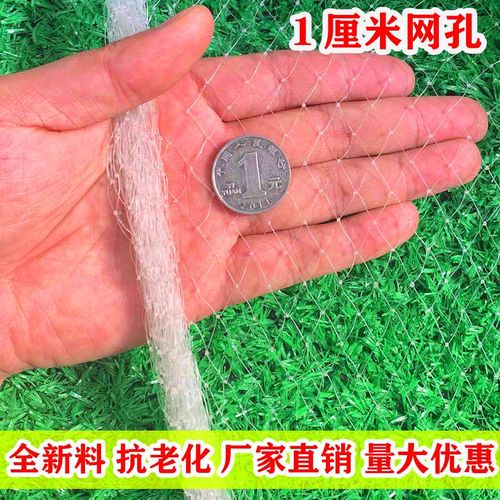 小孔防鸟网防冰雹网嘉宝果防小鸟