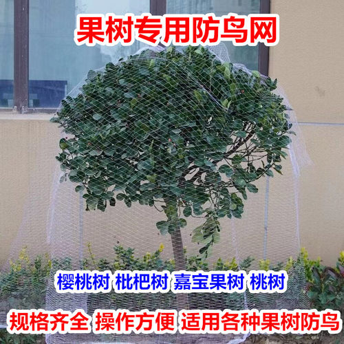 果树防鸟网罩水嘉宝葡萄樱