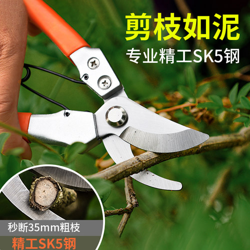 剪树枝专用剪刀果树修枝花艺高枝剪树木枝条剪刀园艺修枝剪刀出口