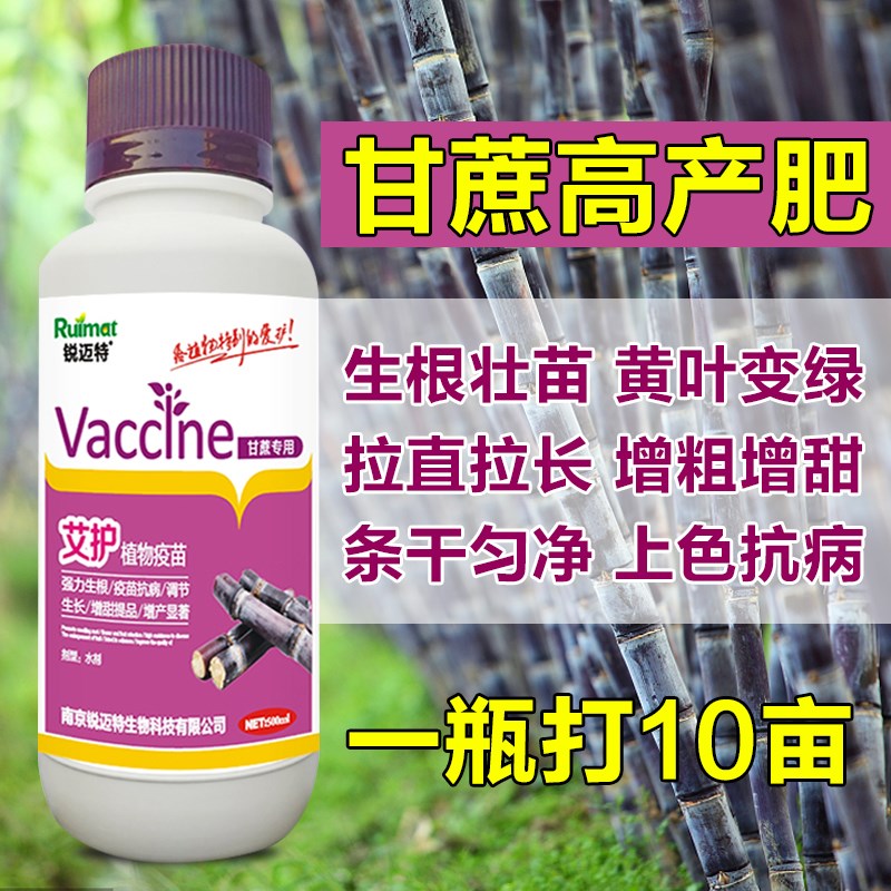 因卡波甘蔗专用叶面肥生根膨大增粗拉长拉直增甜上色拔节抗倒伏