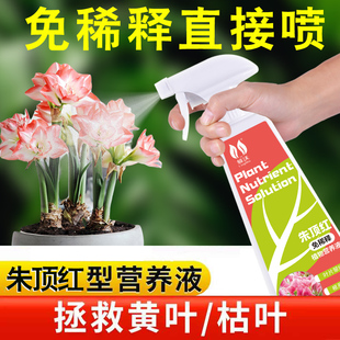 速发免稀释朱顶红球卉专用肥家用盆栽水培通力素花根植物活用型营