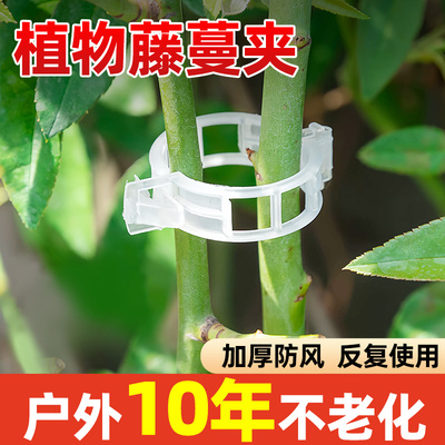 速发物蔓固定夹果蔬花卉绿植卡扣藤艺爬园植藤固定器西红柿月季藤