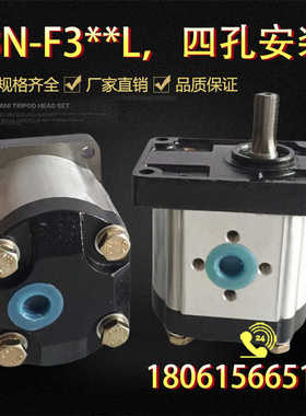 前端盖四孔安装侧装泵CBN-F314L/F310L/F306L/F316L/F320L/F325L