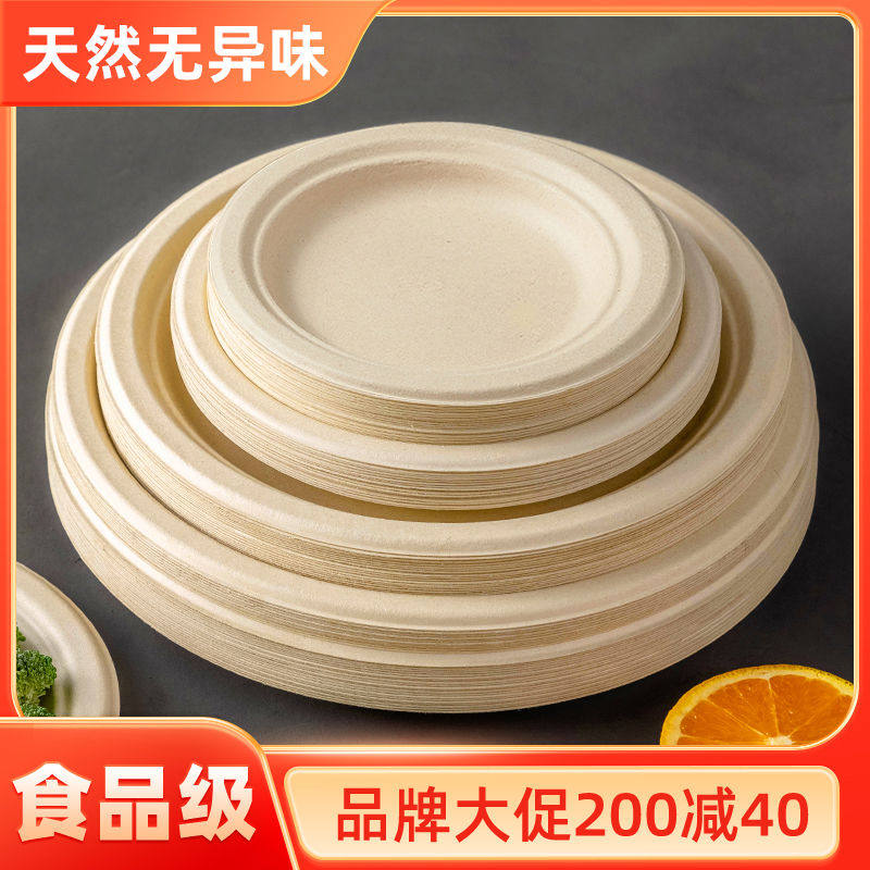 一次性餐盘餐具食级盘子碗筷碟子加厚纸盘可降解画画烧烤家用
