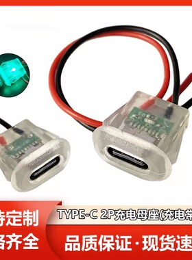 TYPE-C母座2P卡扣注胶USB C母头typec焊线防水透明带灯台灯充电口
