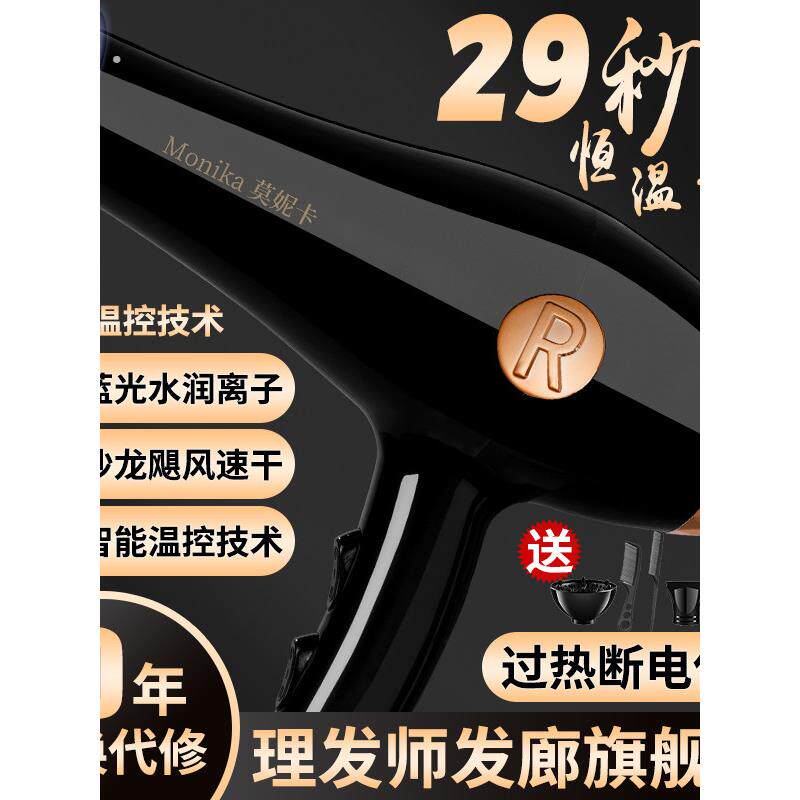 德国发廊专用吹风机吹头发大风力家用理发店大功率负离子护发速干