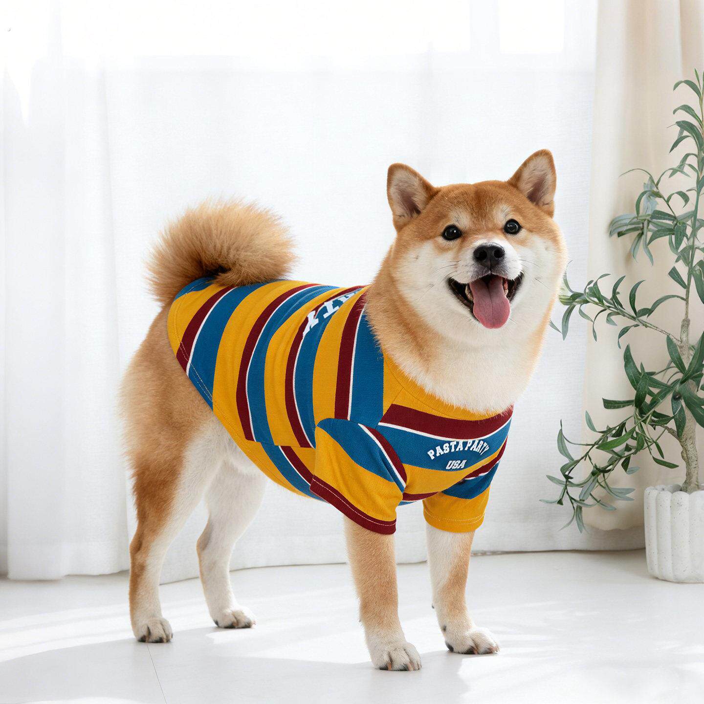 宠物狗狗2026年新款衣服防掉毛春夏柴犬雪纳瑞薄款小狗夏装打底衫