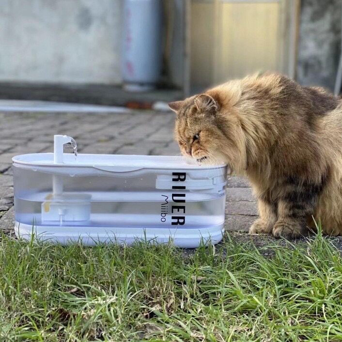 miiibo小河猫咪饮水机子自动循环过滤流动水宠物喝水器狗狗水盆