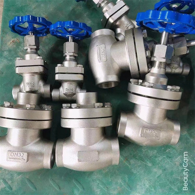 DJ61F-16P DN20D-J61F-16P低温长轴截止阀 汝南县阀门经销商