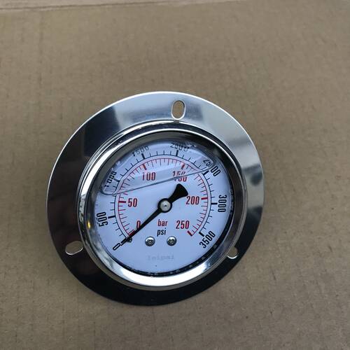 轴向带边耐震压力表 YN60ZT 250bar 3500psi 背后外壳直径62mm