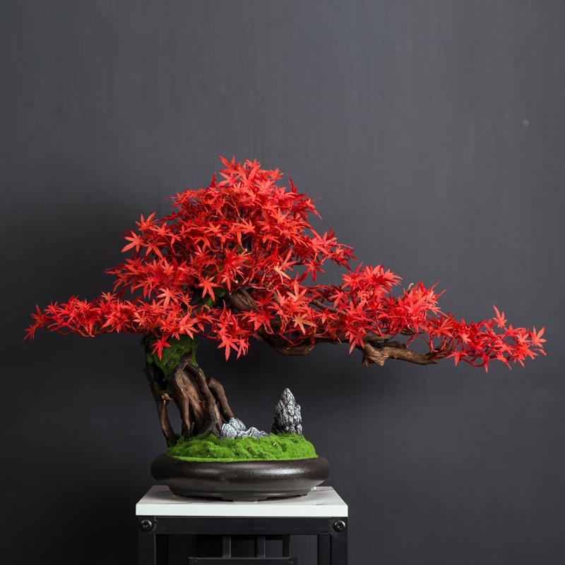 仿真迎客松盆景摆件红枫叶假树客厅玄关新中式装饰品禅意植物盆栽