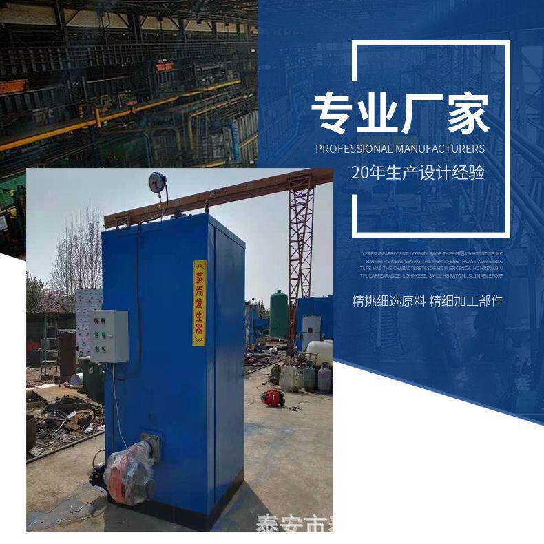 生物质蒸汽发生器洗涤熨烫食品加工产气快气量足消耗低简单安装